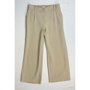 LOFT Tan Ankle Pants